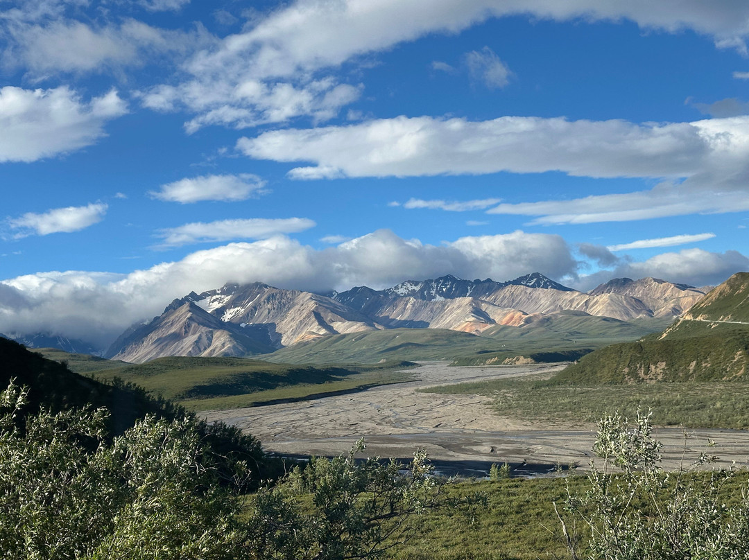 Tundra Wilderness Tour-Denali Park必去景点