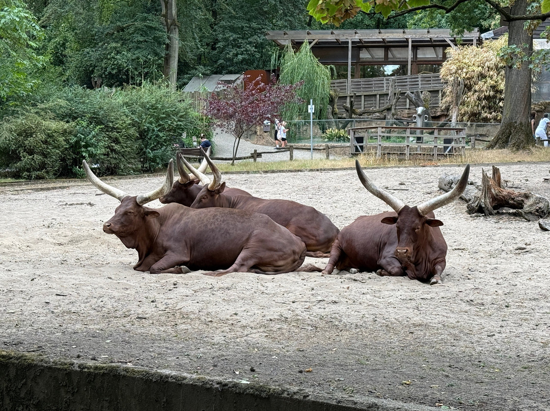Zoo Duisburg-杜伊斯堡必去景点