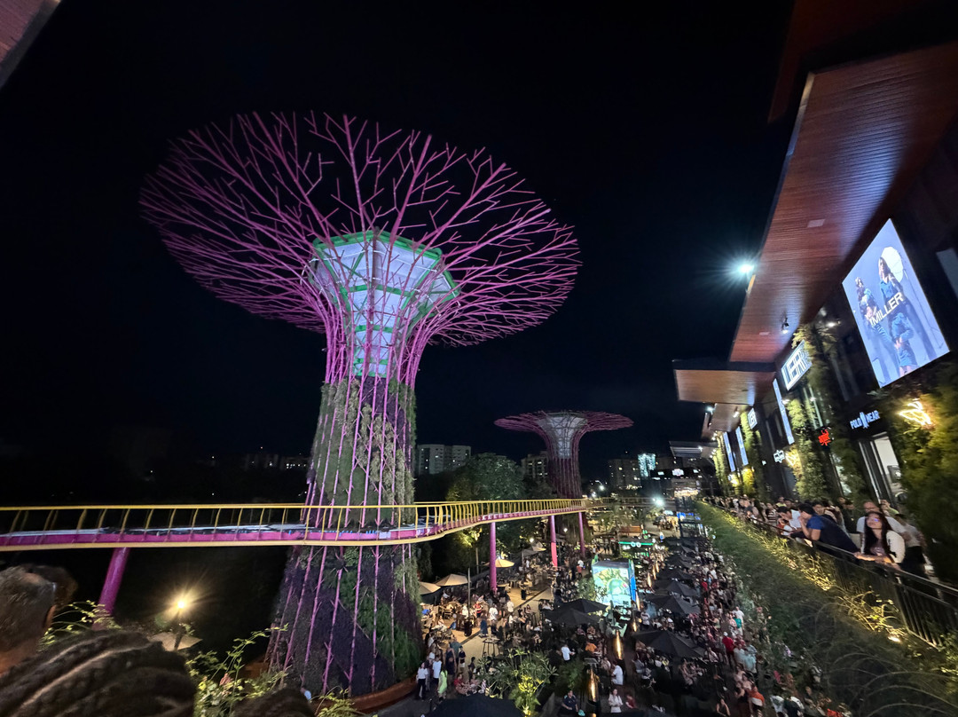 Singapura Shopping-Caldas Novas必去景点
