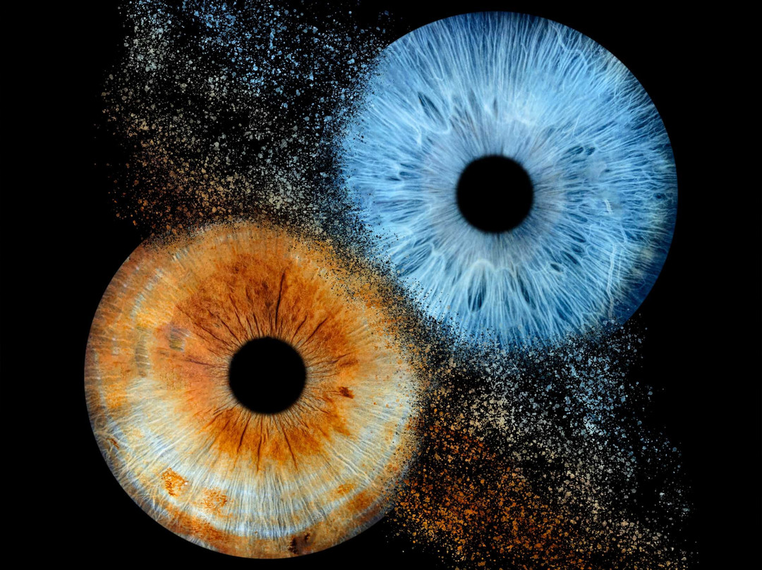 Iris Galerie Hasselt