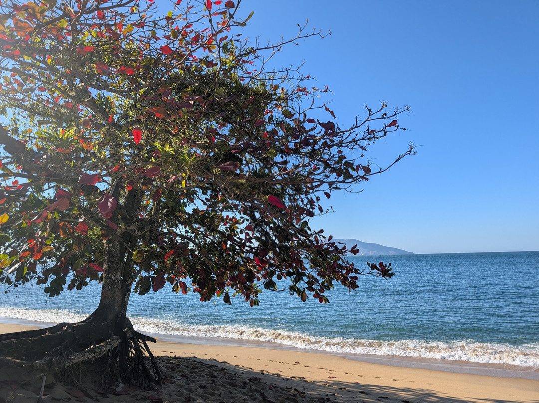 Club Med Rio das Pedras主图