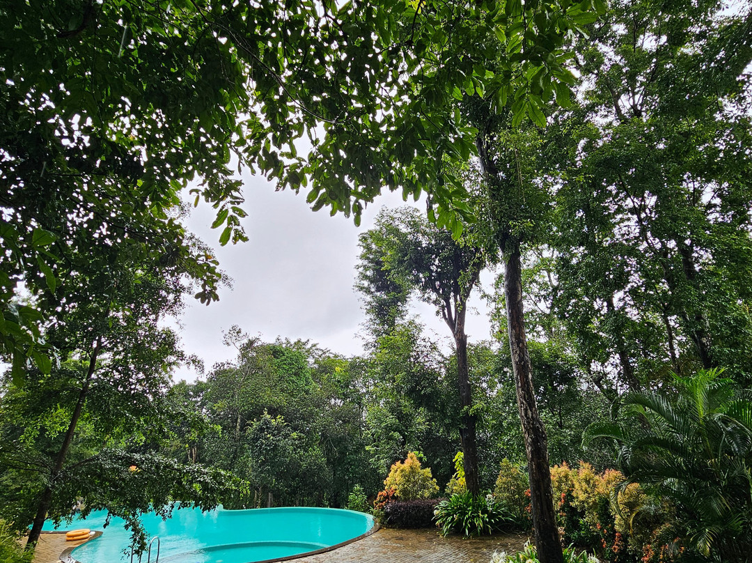 Crystal Kuruva Nature Resort & Spa主图