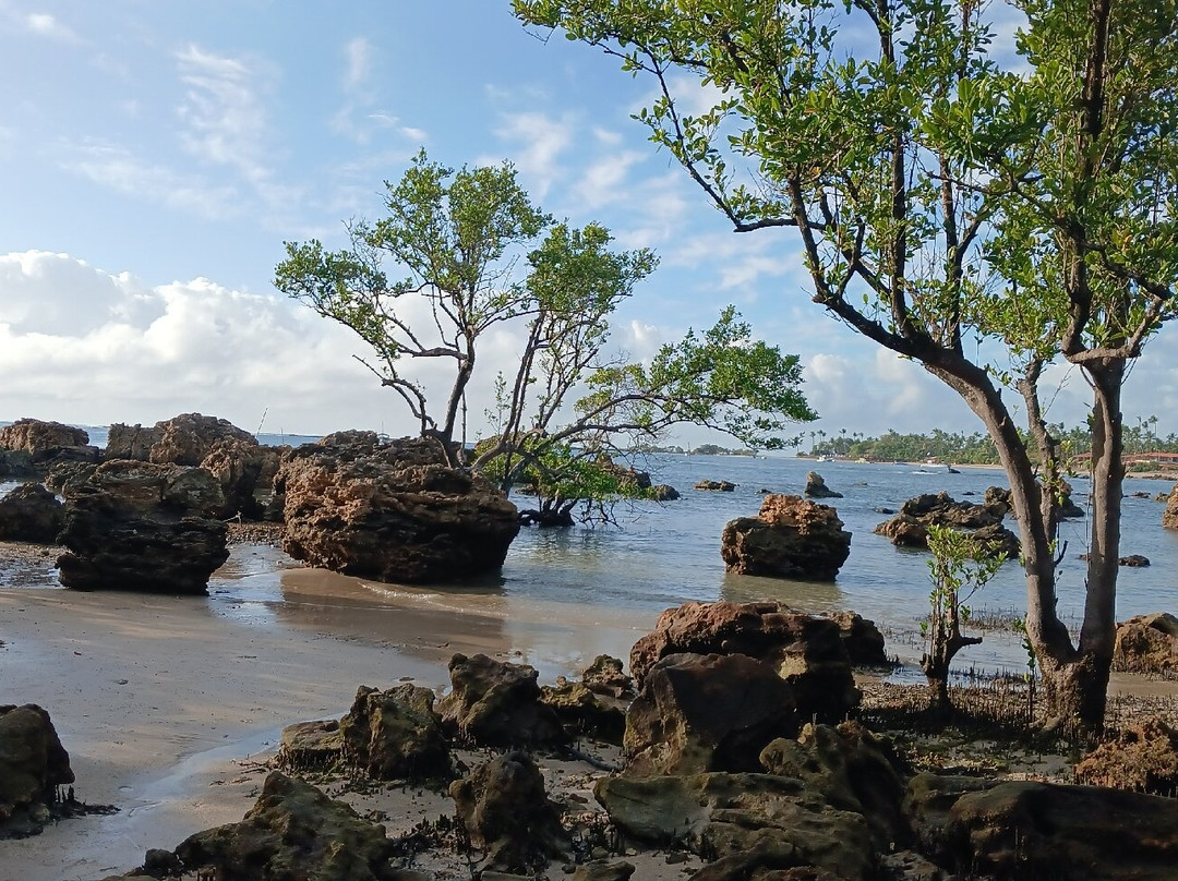 Terceira Praia-莫罗圣保罗必去景点
