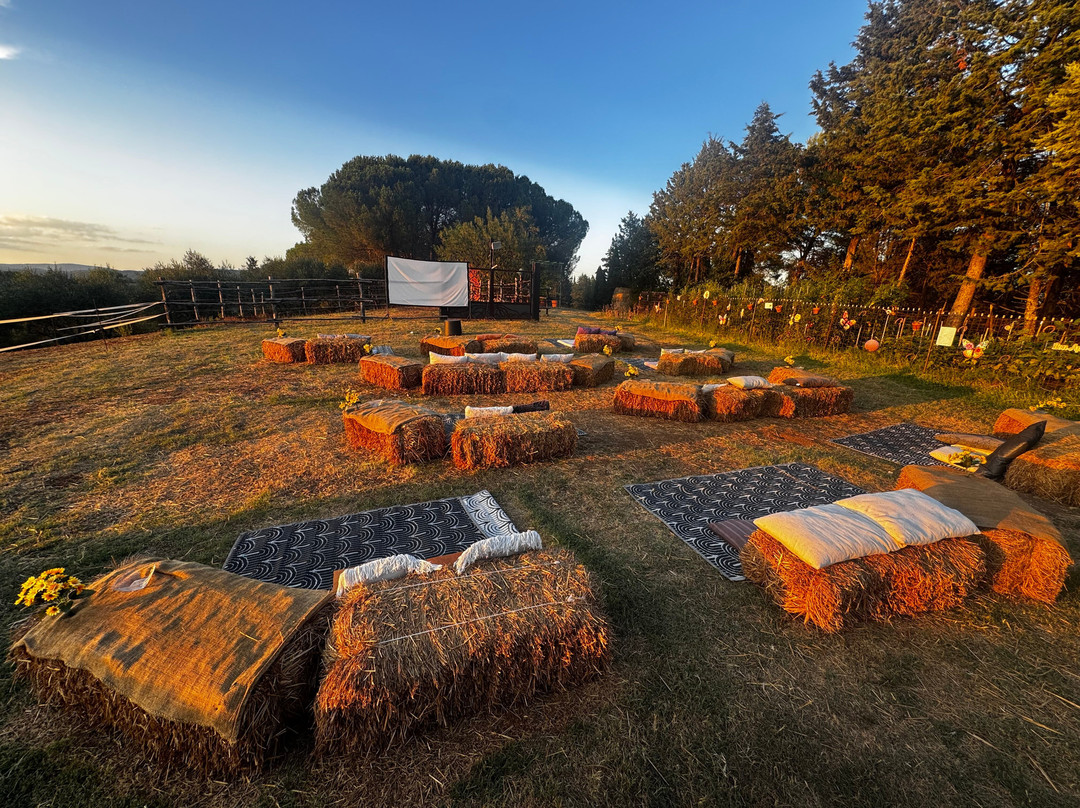 Glamping il Sole主图