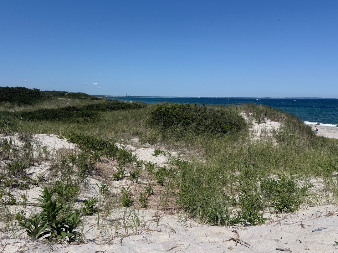 Sandy Neck Beach-桑威奇必去景点