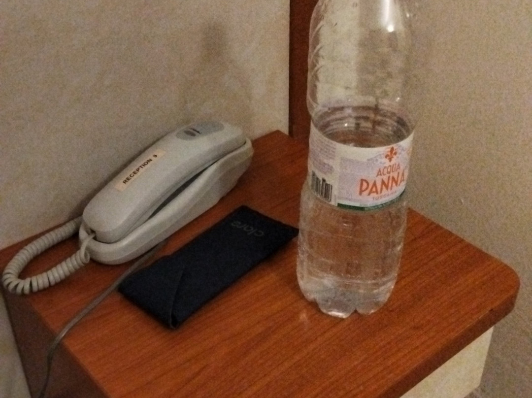斯特凡酒店主图
