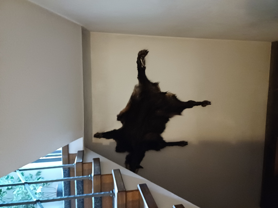 Sporthotel Klausberg主图