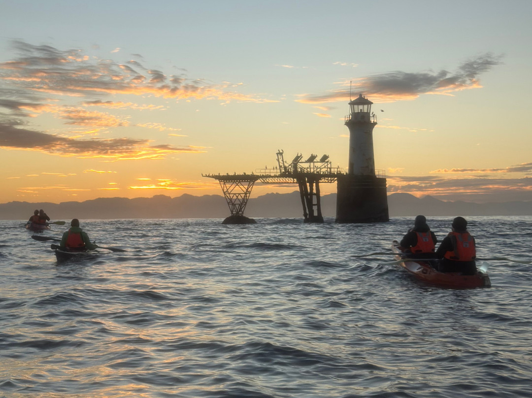 Paddle Experience: Kayak in Cape Town-西门镇必去景点