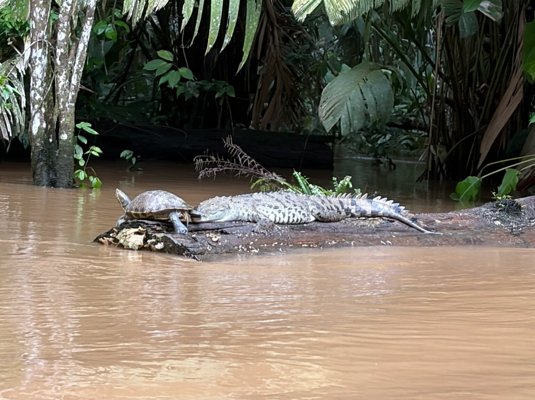 Costa Rica Roots Tours-托图杰多必去景点
