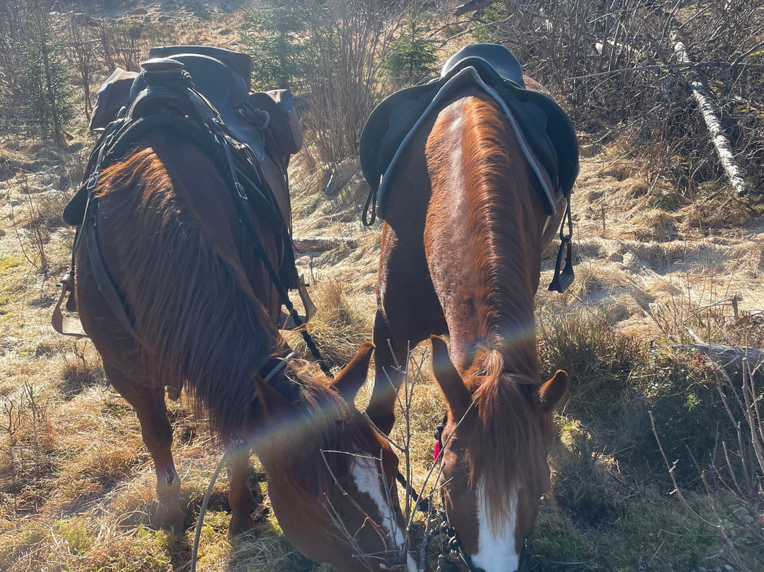 Inderøy Adventure