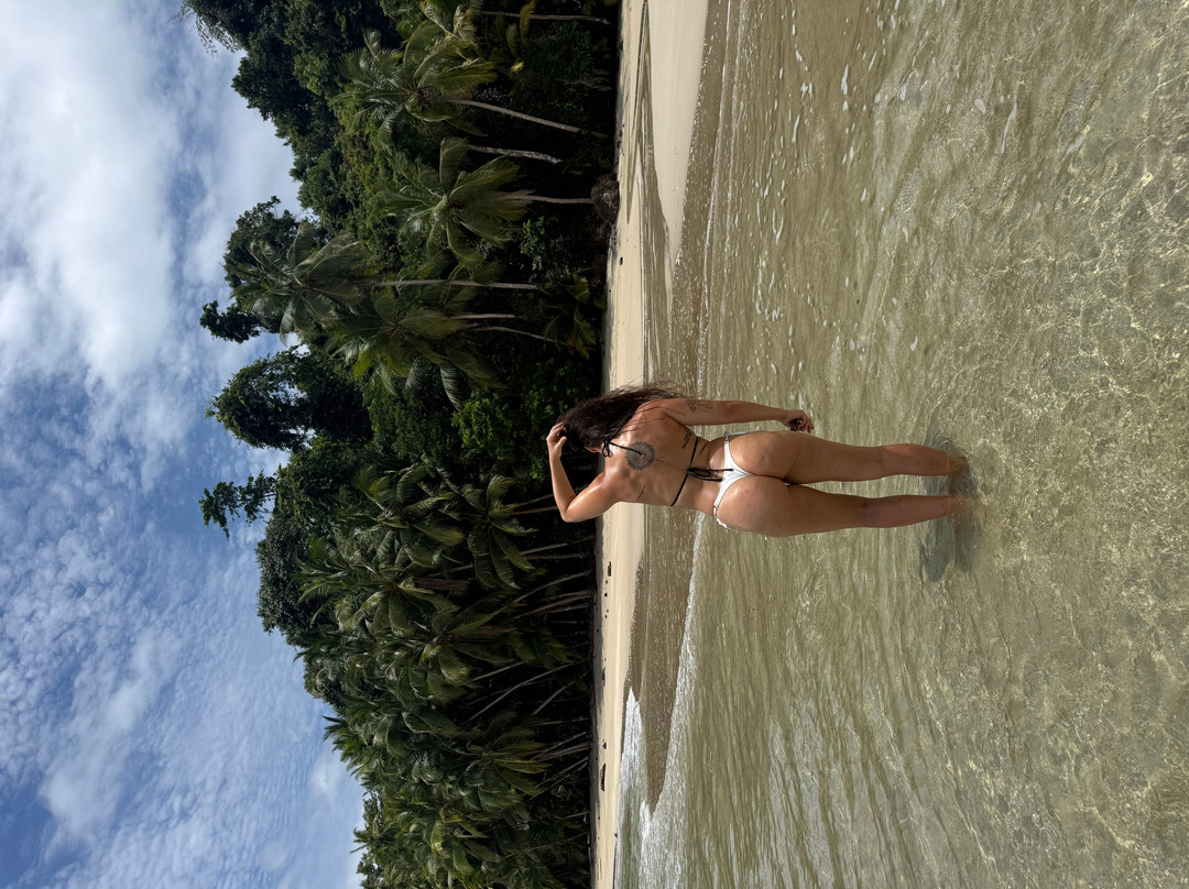 Osa Viva Tours-Puerto Jimenes必去景点