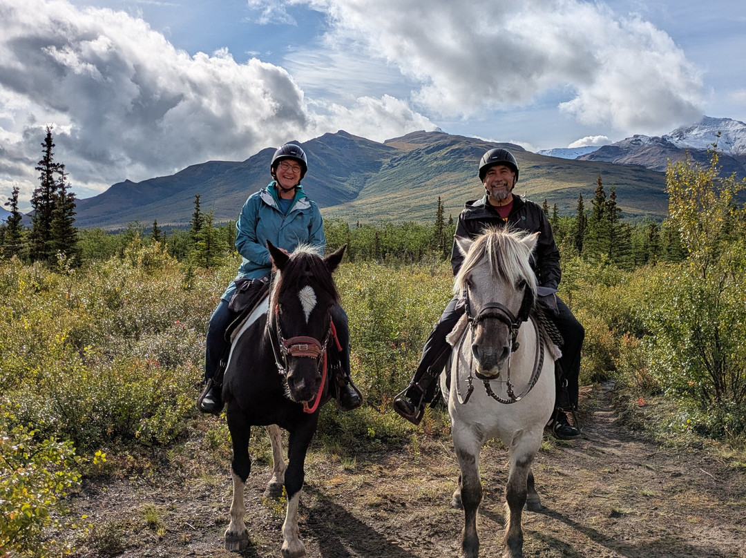 Denali Horseback Tours-德纳利国家公园和自然保护区必去景点