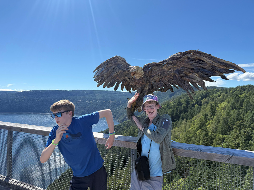 Malahat Skywalk-Malahat必去景点