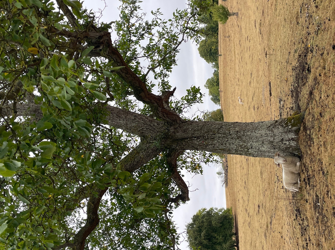 Wimpole Estate-Arrington必去景点