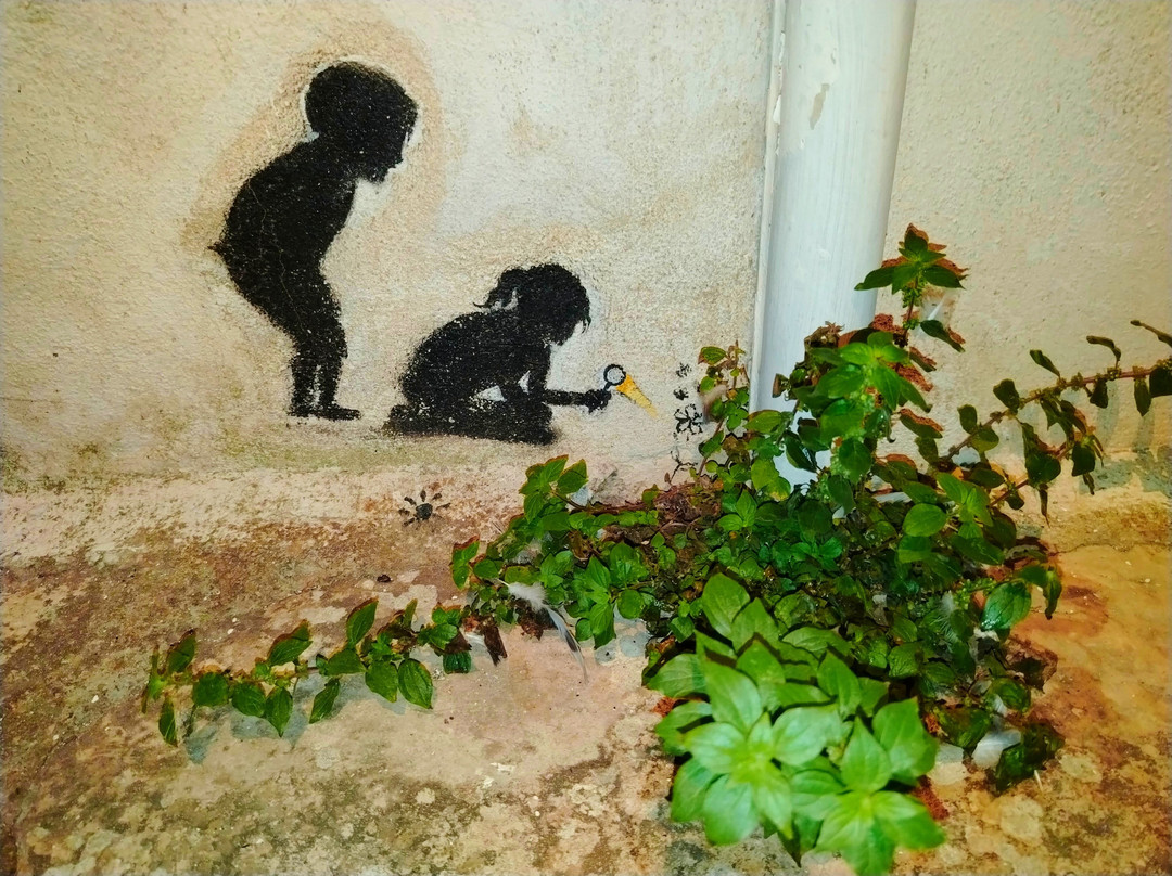 Le Pozzelle Presicce