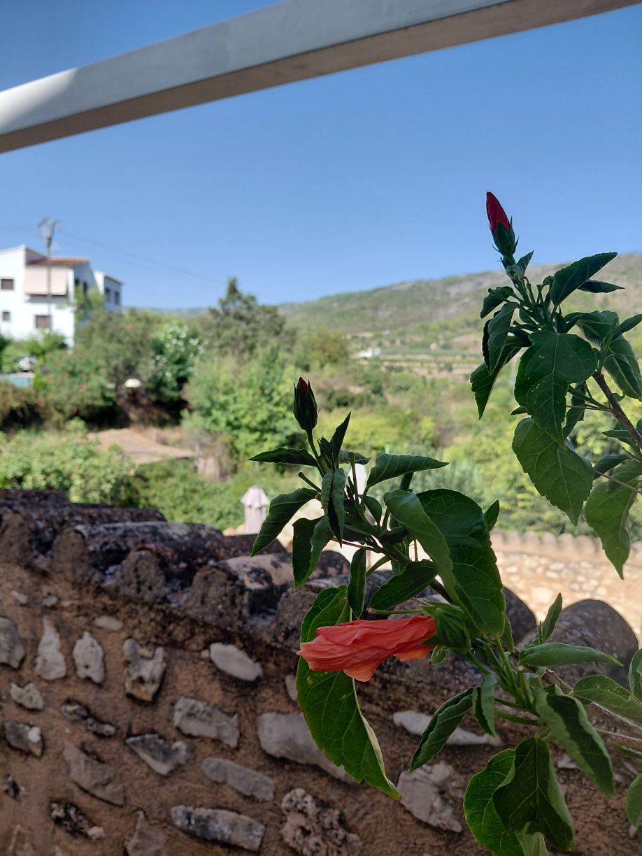 Casa La Vall-旅行者