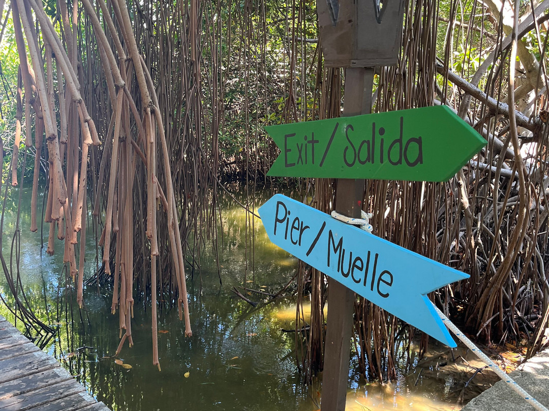 Puerto Maya Cancún-坎昆必去景点
