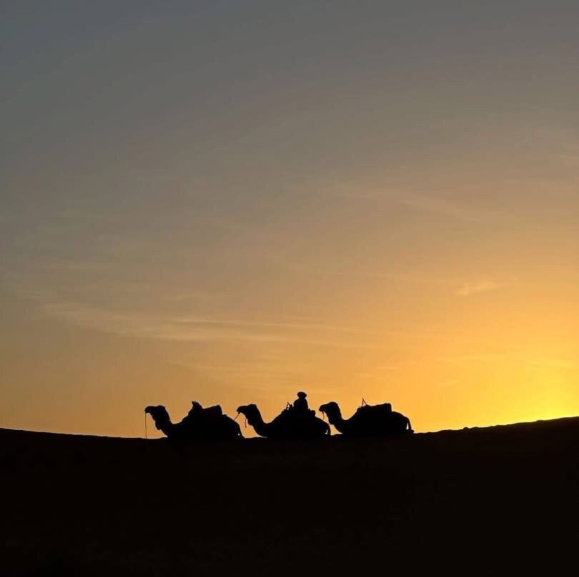 Foum Zguid Sahara Guide-Foum Zguid必去景点