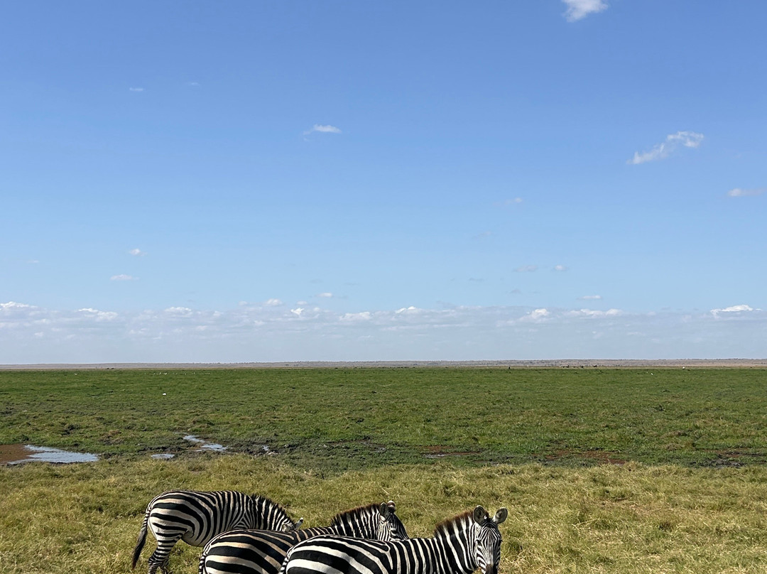 Explorer Kenya-内罗毕必去景点