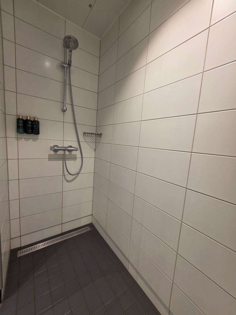 克拉里昂迩恩斯特酒店-旅行者