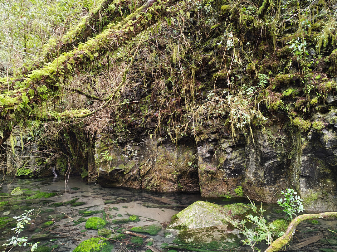 Saltos del Petrohue-巴拉斯港必去景点