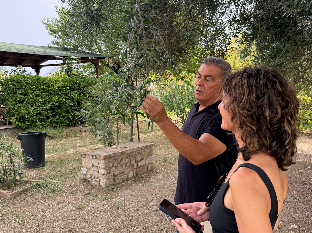 Italian Cooking Class and Olive Tour Experience-罗马必去景点