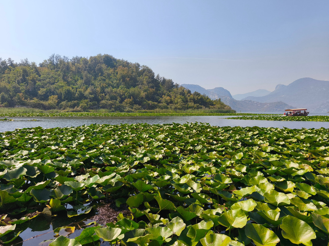 Monte Frog Boat Cruise-维尔巴札拉必去景点
