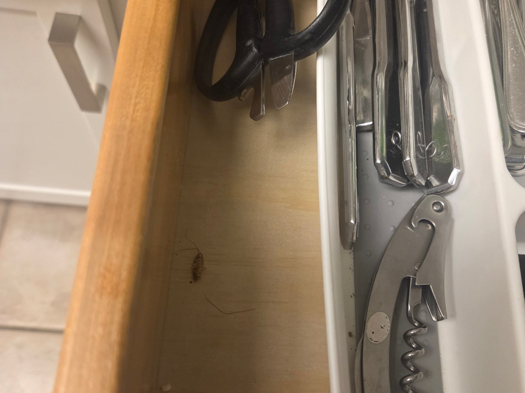 利奇菲尔德海滩高尔夫度假酒店主图