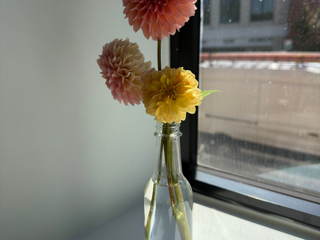 National Public Housing Museum-芝加哥必去景点