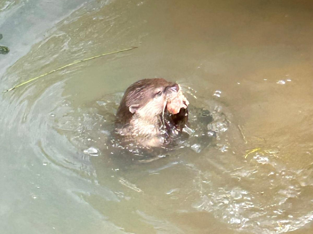 Bridlington Animal Park-布里德灵顿必去景点