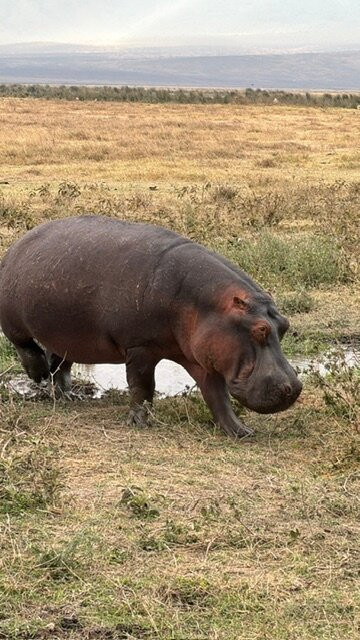 Tanzania Roadside Expeditions-阿鲁沙必去景点