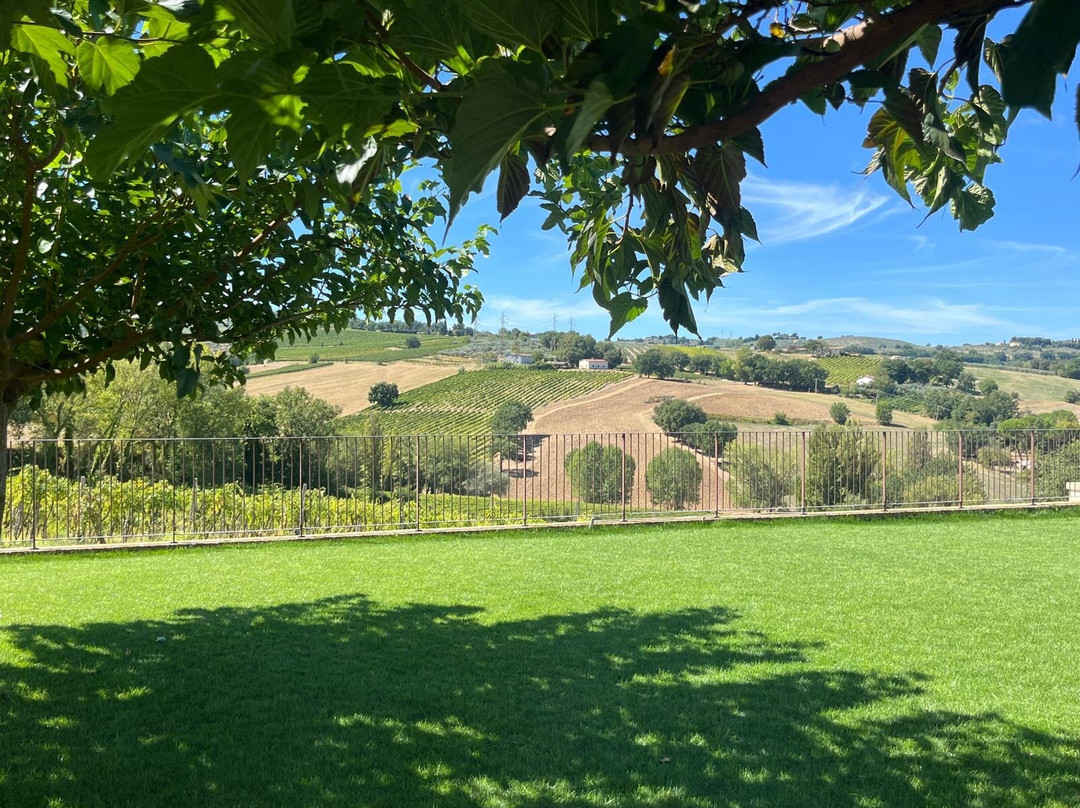 Cantina La Veneranda-Montefalco必去景点