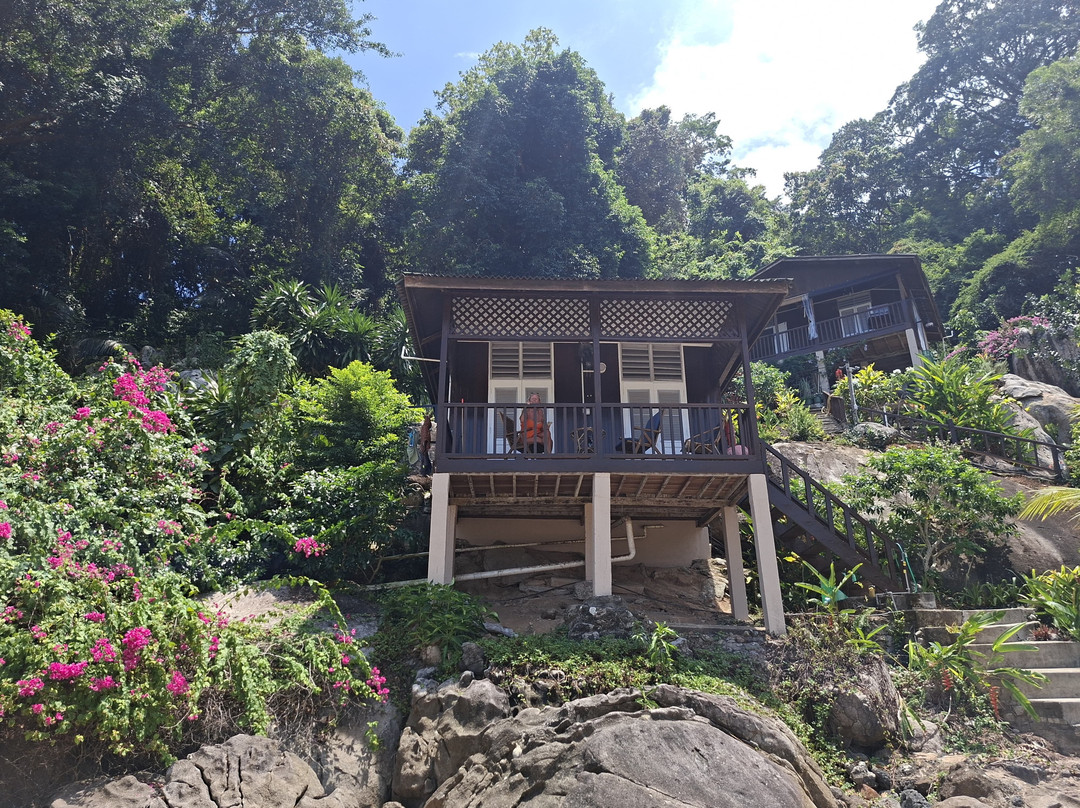 Bamboo Hill Chalets主图