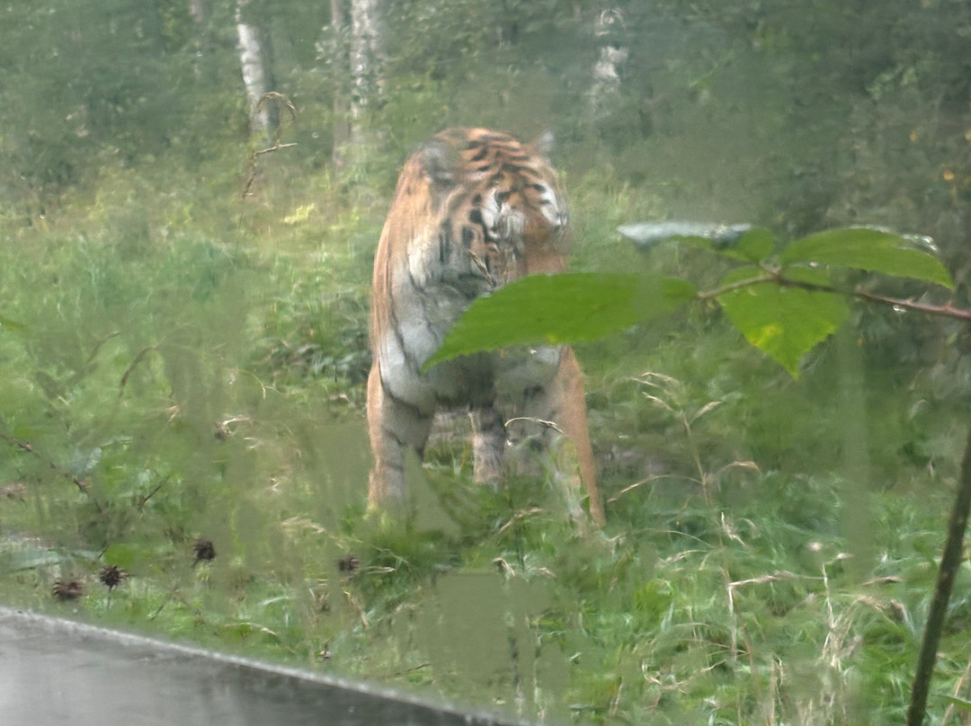 Knuthenborg Safaripark-马里博必去景点
