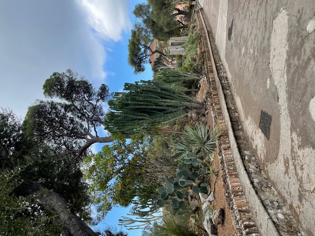 Gibraltar Botanic Gardens (The Alameda)-直布罗陀必去景点