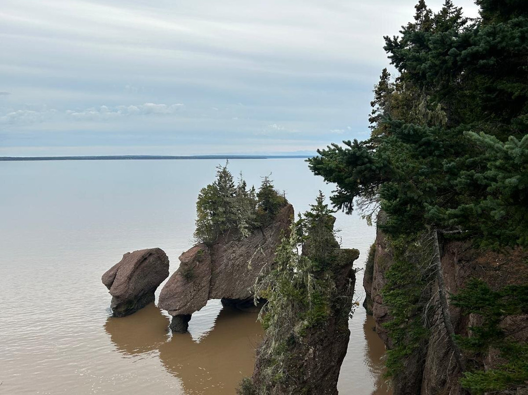 Hopewell Rocks-霍伯威尔角必去景点