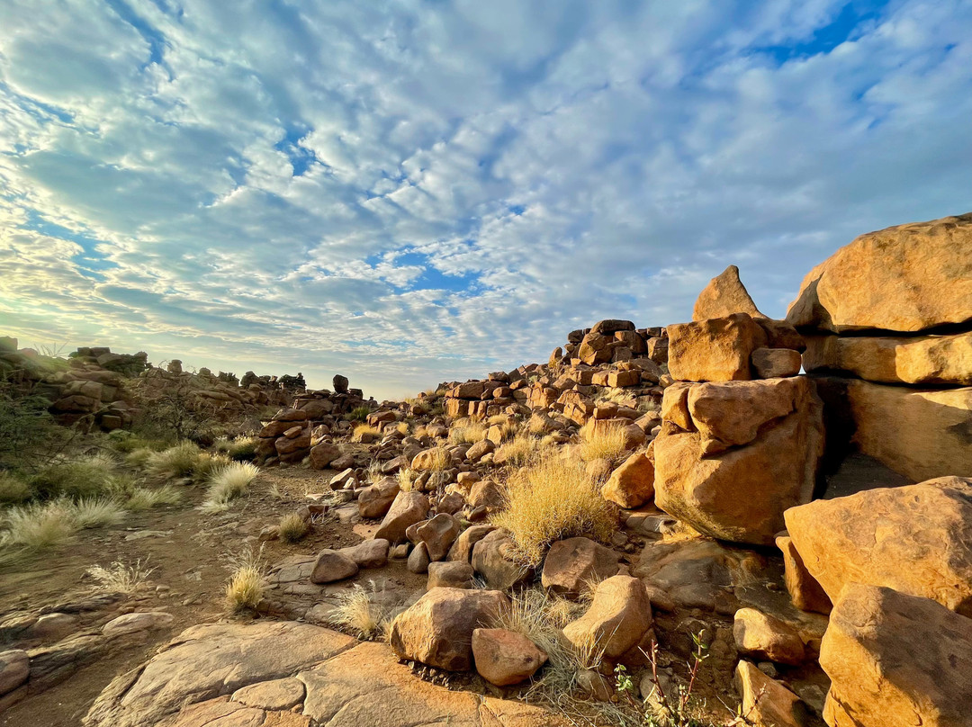 Quivertree Forest and Giant's Playground-Keetmanshoop必去景点