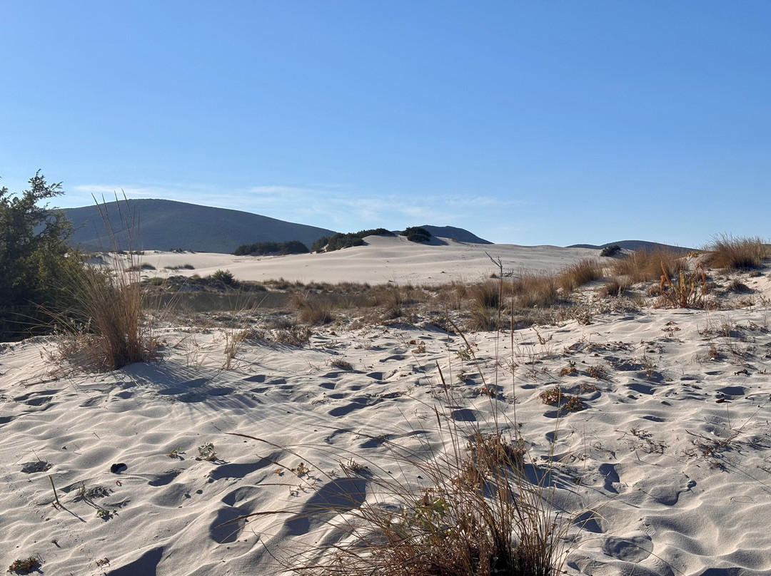 Spiaggia Is Arenas Biancas-Teulada必去景点