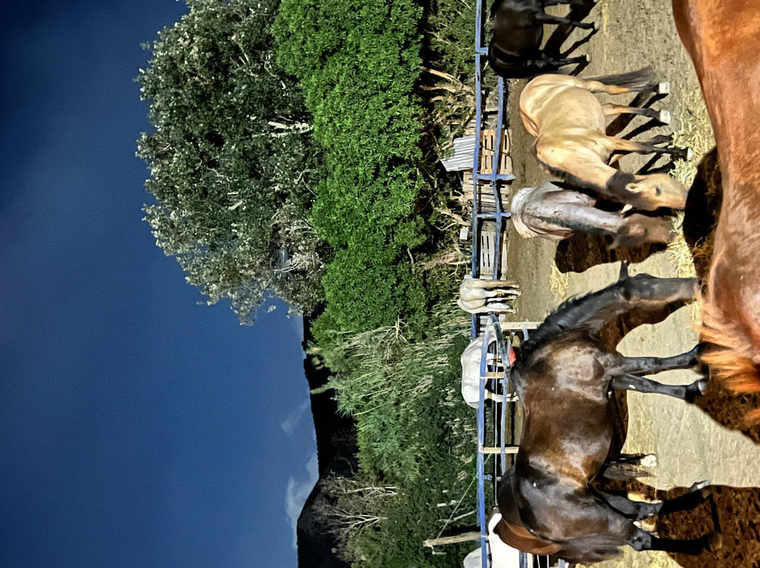 Finikia Horseriding-Finikia必去景点