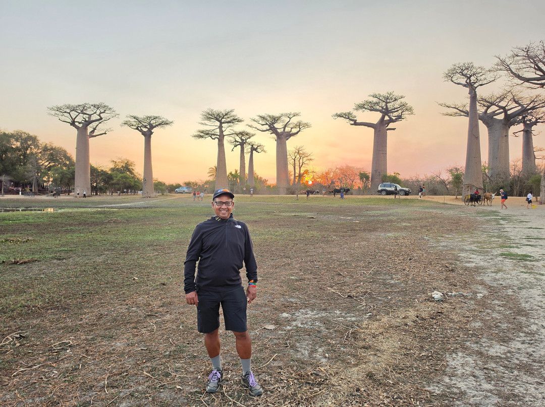 Avenue of the Baobabs-Morondava必去景点