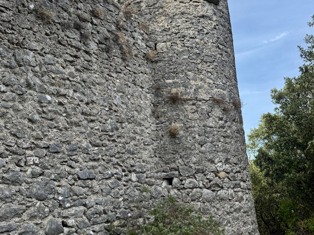 Chateau de Tornac-Tornac必去景点