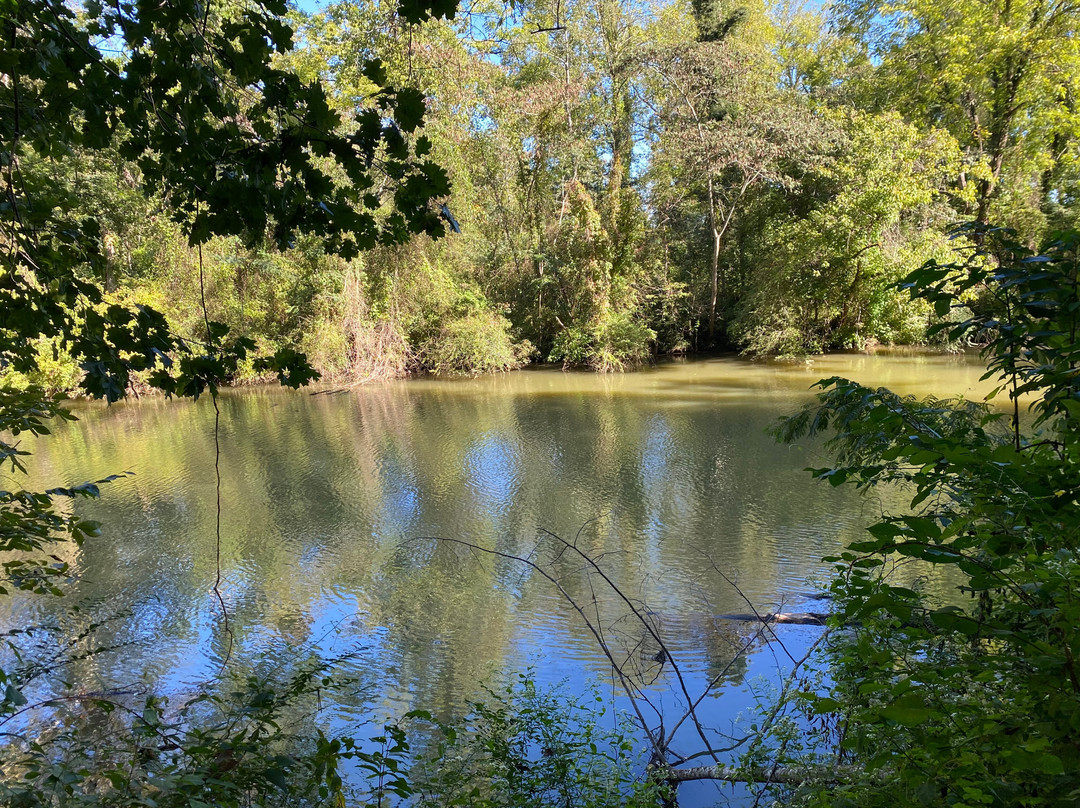 Ijams Nature Center-诺克斯维尔必去景点
