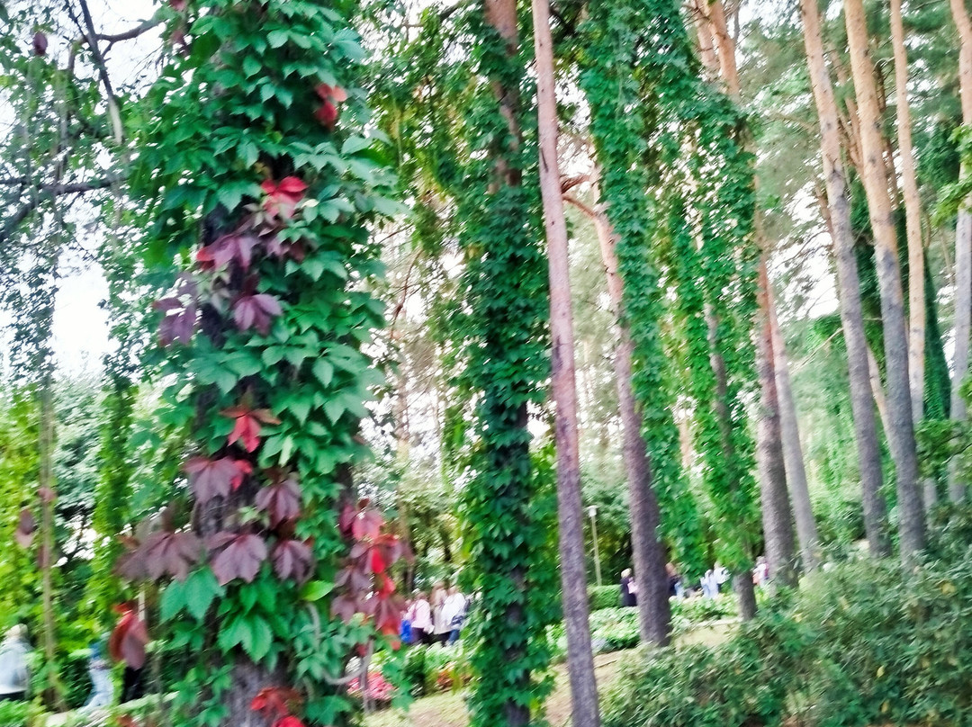 Central Botanical Garden of the National Academy of Sciences of Belarus-明斯克必去景点