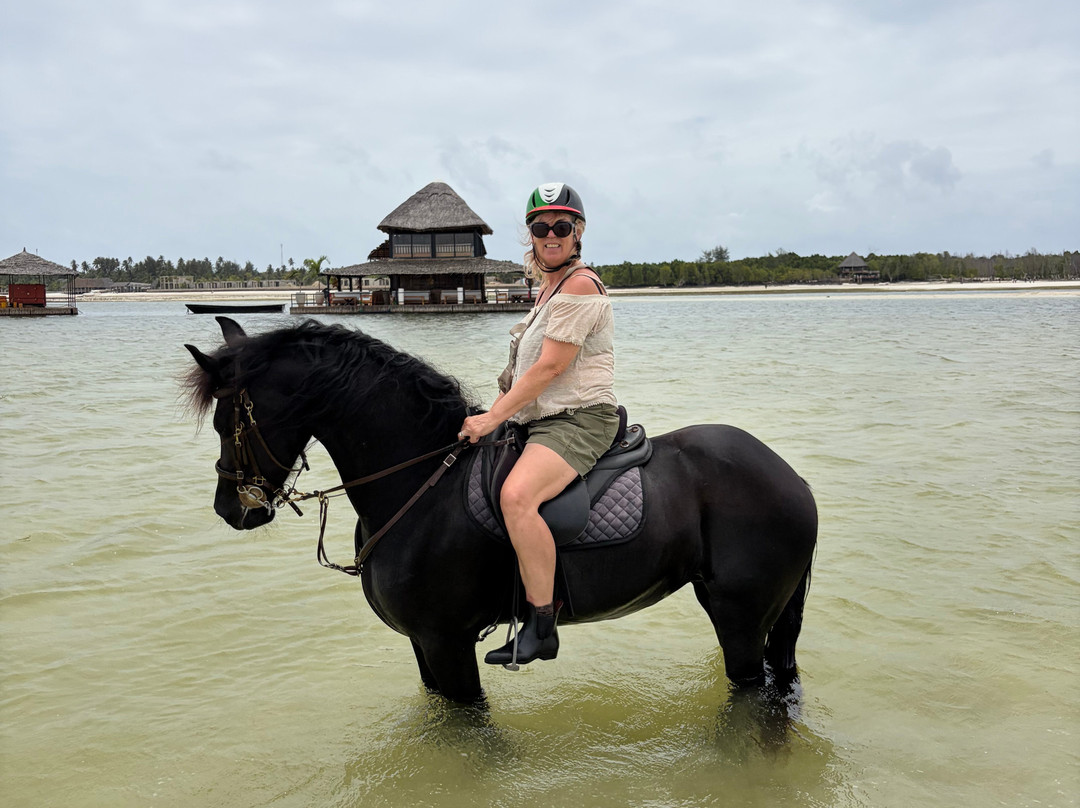 Royal Stable Zanzibar-米查维必去景点