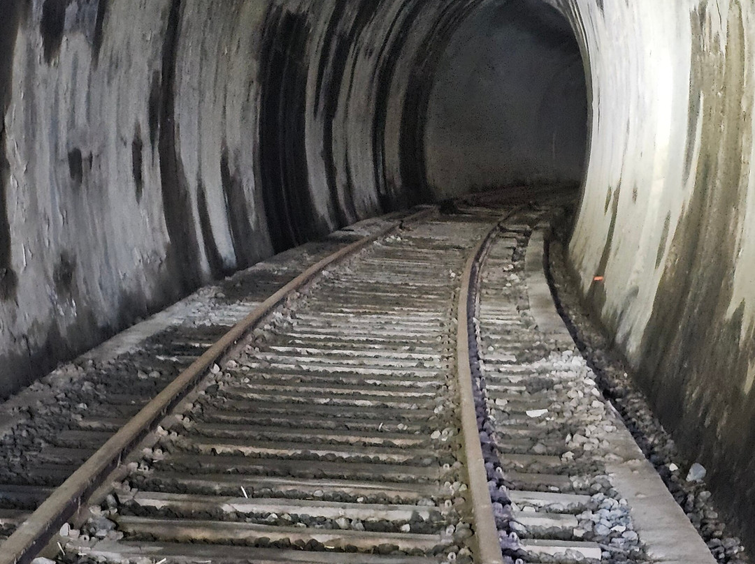 Carcoar Railway Tunnel-Carcoar必去景点