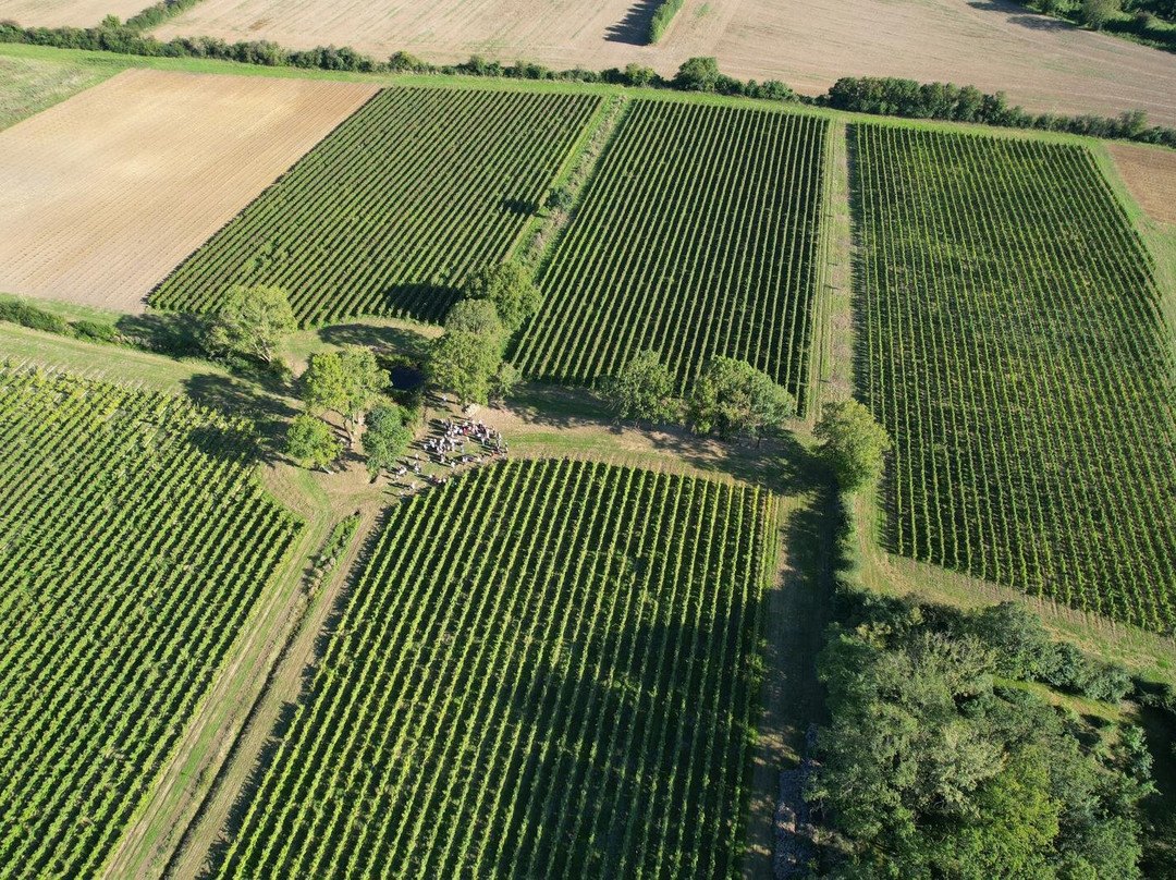 Domaine Des Deux Arcs-Martigne-Briand必去景点