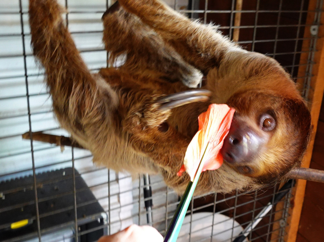 Chase Animal Sanctuary-Webster必去景点