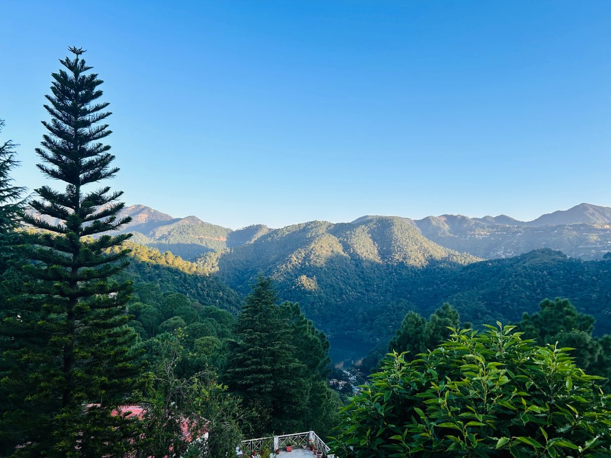 Sattal Forest Resort-旅行者