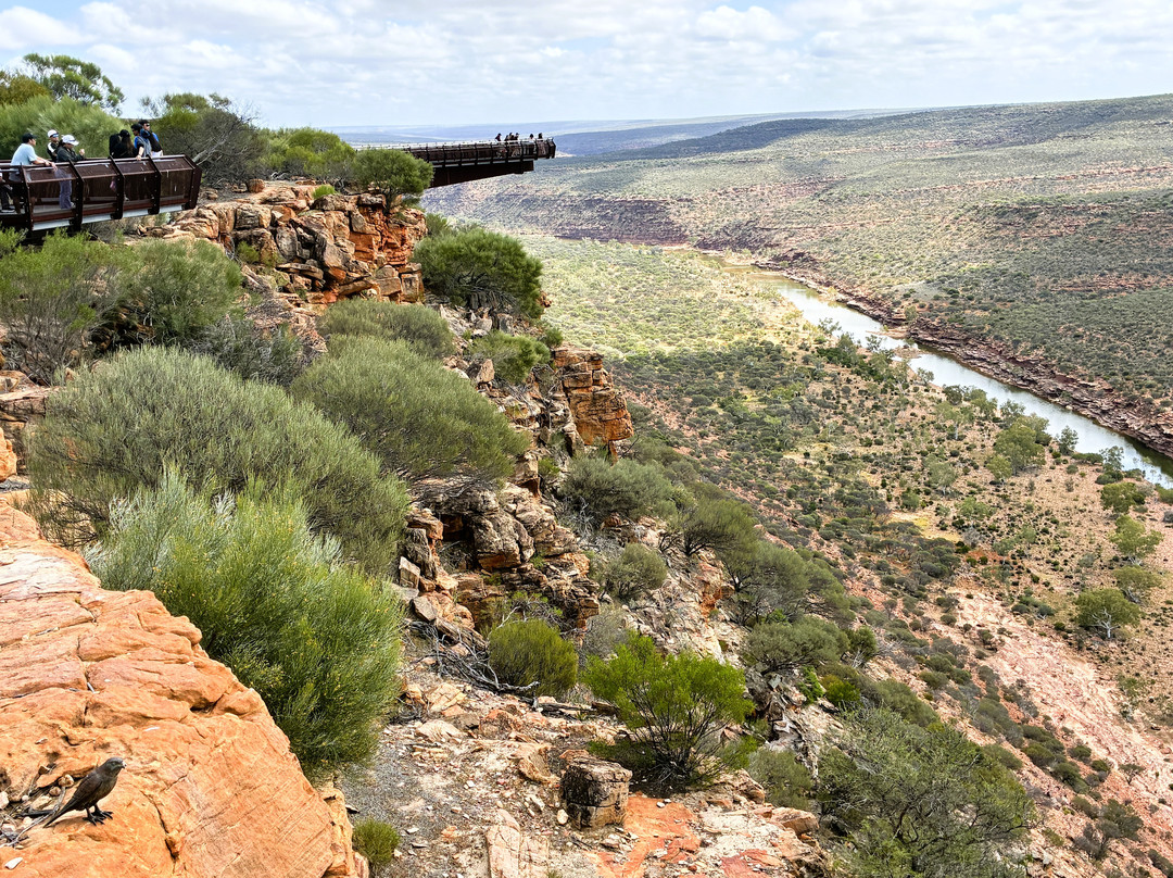 Kalbarri Skywalk-卡尔巴里必去景点