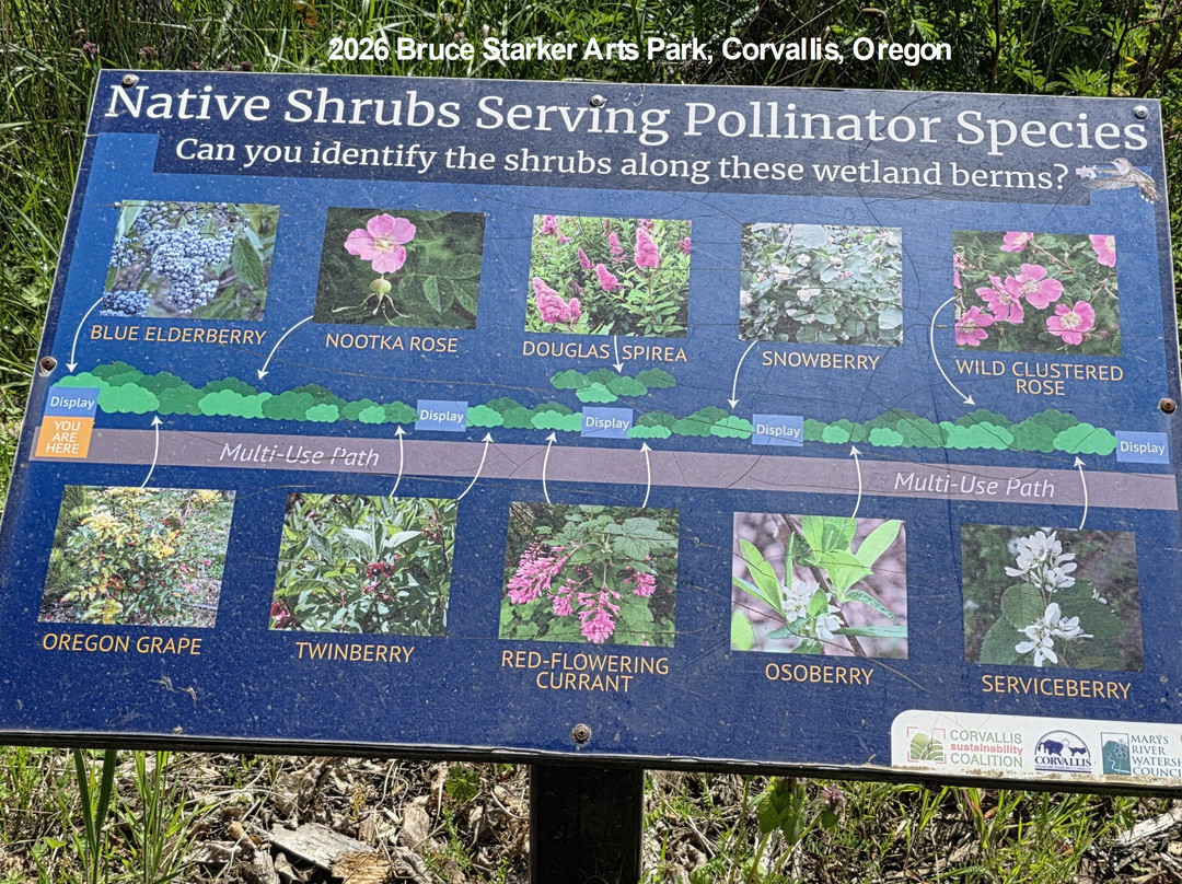 Bruce Starker Arts Park-科瓦利斯必去景点